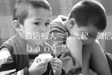 微信被人罵怎么起訴(微信被人罵了怎么報(bào)警)