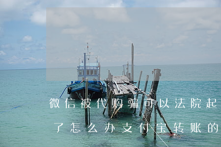 微信被代购骗可以法院起诉吗(微信代购被骗了怎么办,支付宝转账的)