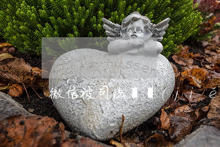 微信被司法凍結(jié)可以取出來嗎