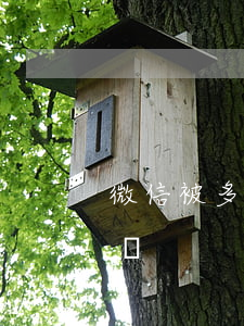 微信被多人起訴-微信起訴會(huì)怎樣