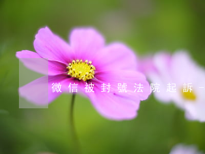 微信被封號法院起訴-微信被封號法院起訴