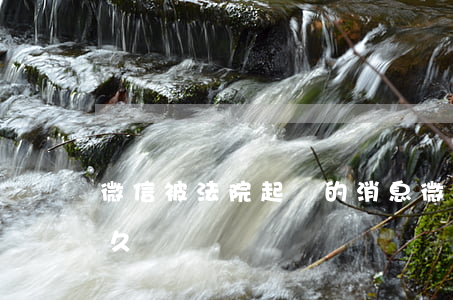 微信被法院起訴的消息(微信法院起訴審核多久)