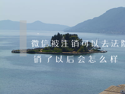 微信被注销可以去法院起诉吗(微信直接被注销了以后会怎么样)