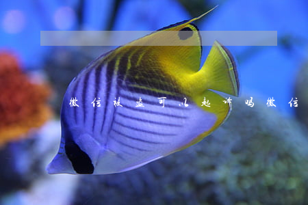 微信被盗可以起诉吗(微信号被盗可以起诉吗)