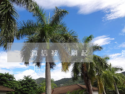 微信被盜刷起訴騰訊(微信被盜刷起訴騰訊有用嗎)