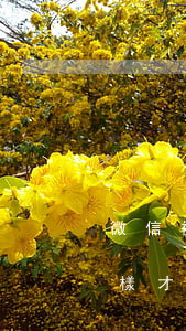 微信被舉報怎么解除(朋友微信被惡意舉報,怎樣才能解除)