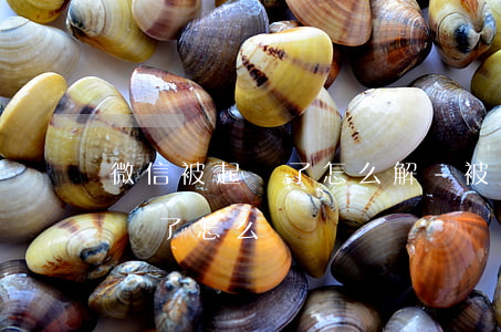 微信被起訴了怎么解-被人起訴微信支付被凍了怎么辦