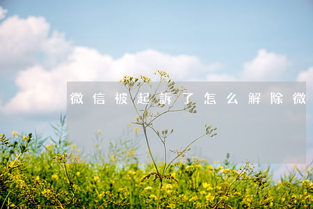 微信被起訴了怎么解除 微信起訴有用嗎