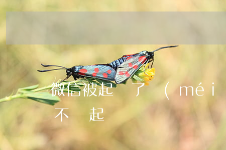 微信被起訴了沒(méi)有還錢(微信欠錢不還起訴)
