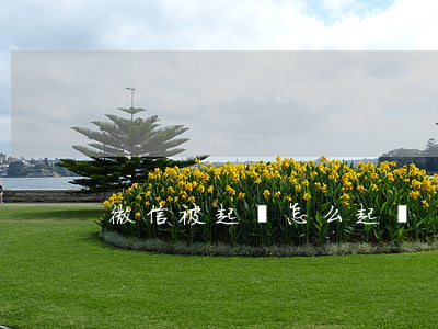 微信被起訴怎么起訴