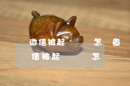微信被起訴處罰怎樣查詢(xún)記錄（微信被起訴處罰怎樣）