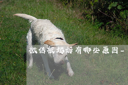 微信被起诉有哪些原因-起诉微信乱封号