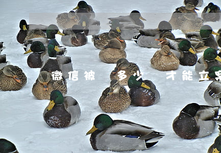 微信被騙多少錢才能立案
