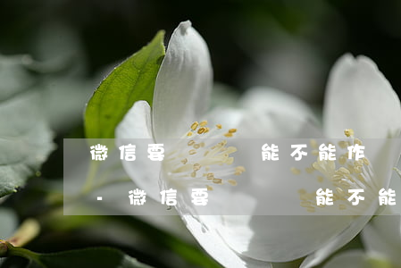 微信要賬記錄能不能作為證據(jù)起訴-微信要賬記錄能不能作為證據(jù)起訴對(duì)方