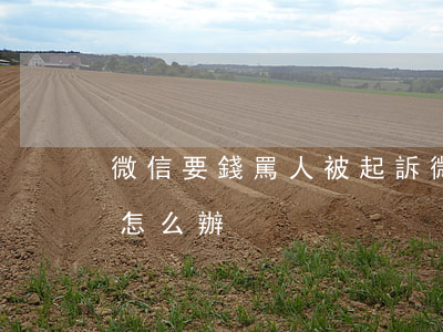 微信要錢罵人被起訴(微信有人罵人,想起訴他,怎么辦)