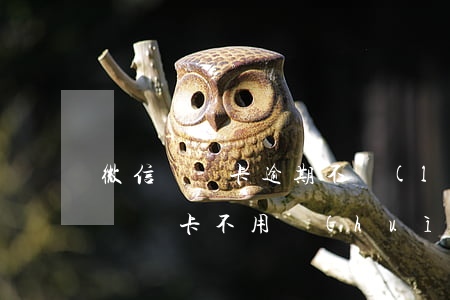 微信親屬卡逾期不領(lǐng)取-微信親屬卡不用會(huì)不會(huì)過(guò)期