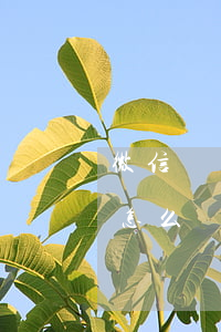 微信親屬卡逾期會怎么樣(微信親屬卡超額了怎么辦)