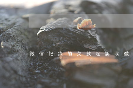 微信記錄的欠款起訴狀(微信欠錢起訴狀)