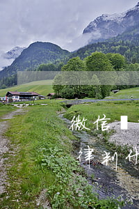 微信語言攻擊起訴條件 微信上語言攻擊走法律判什么
