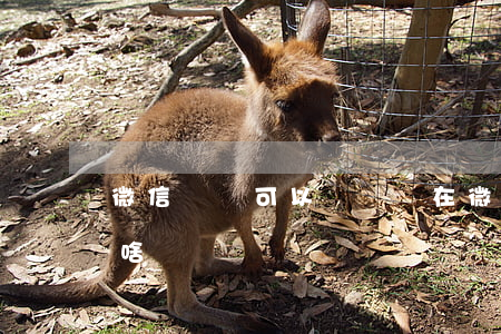 微信誹謗可以訴訟嗎(在微信上誹謗別人屬于啥)