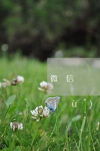 微信證據(jù)欠錢起訴嗎(有微信證據(jù)怎么要債)