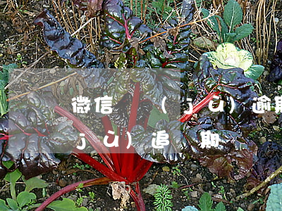微信證據(jù)逾期提交(微信聊天證據(jù)追訴期)