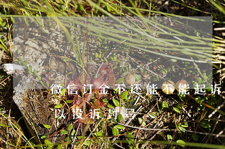 微信订金不还能不能起诉(微信上定金不退可以投诉封号?)