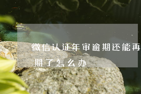 微信认证年审逾期还能再审(微信认证年审过期了怎么办)