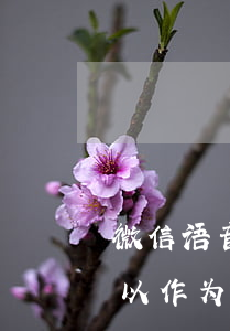 微信语音录音能起诉吗 微信语音通话录音可以作为法律证据吗