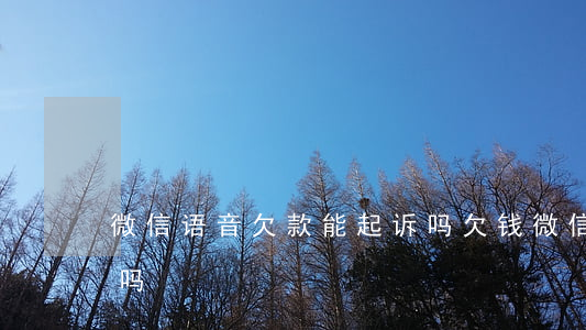 微信语音欠款能起诉吗 欠钱微信语音算证据吗