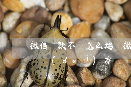 微信貨款不還怎么起訴(微信貨款不還怎么起訴對(duì)方)