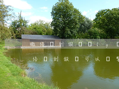 微信買到假貨應(yīng)該怎么起訴(微信買到假貨可以報警要求退款嗎?)