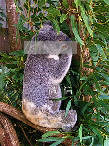 微信買東西可以起訴嗎(微信買東西違法嗎)