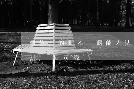 微信買的狗不給退能去法院起訴嗎-在微信上買狗可靠嗎