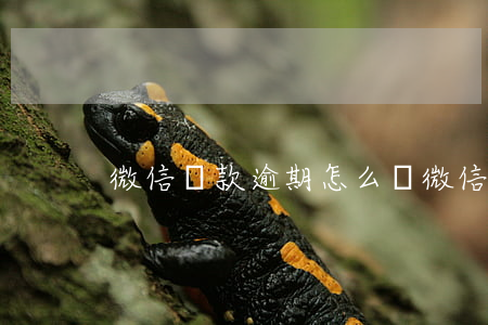 微信貸款逾期怎么辦(微信貸款逾期怎么辦理)