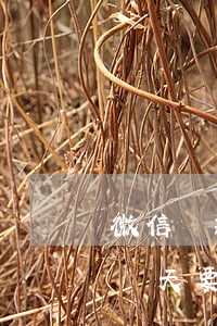 微信貸款逾期時(shí)間短(微粒貸逾期幾天要緊嗎)