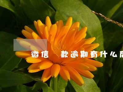 微信貸款逾期有什么后果(輕微逾期影響貸款嗎)
