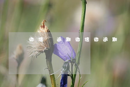 微信貸逾期（微信微逾期）