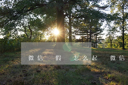 微信賣假貨怎么起訴(微信賣假貨法院起訴)