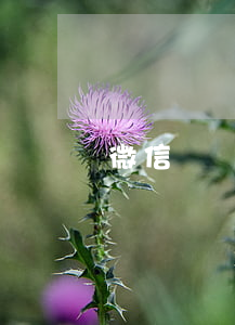 微信賣煙被起訴(微信賣煙被起訴怎么辦)