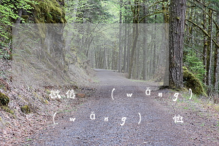 微信賣網(wǎng)課怎么起訴(微信賣網(wǎng)課 他們課程從哪里來)