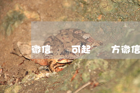 微信賬單可起訴對方 微信賬單可起訴對方