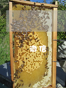 微信購買在哪里起訴-微信購物起訴地