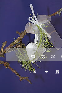 微信起訴了4天后恢復(fù)(微信起訴了4天后恢復(fù)原狀)
