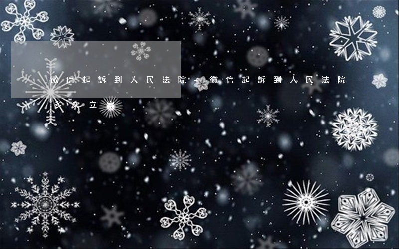 微信起訴到人民法院-微信起訴到人民法院多久立案