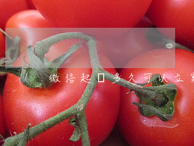 微信起訴多久可以立案(微信號 起訴)