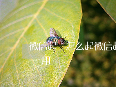 微信起訴怎么起(微信起訴欠錢不還的程序和費用)
