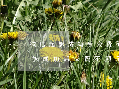 微信起訴成功后交費不顯示怎么辦-微信起訴成功后交費不顯示怎么辦呢