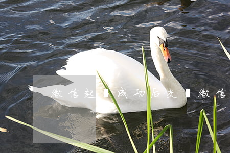 微信起訴成功后交費(微信交易起訴有用嗎)