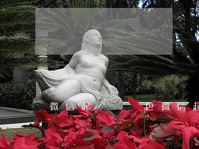 微信起訴搶紅包(微信起訴搶紅包有用嗎)